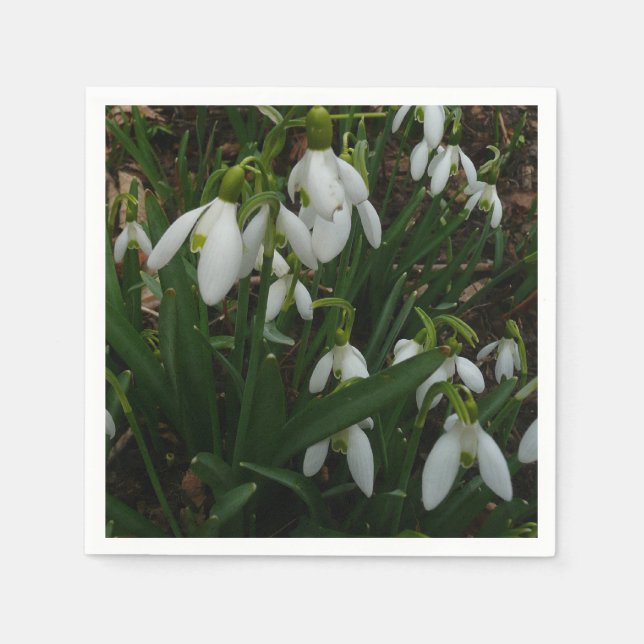Servilleta De Papel Flores de Primavera Blanca (Galanthus) (Anverso)