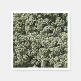 Servilleta De Papel Flores dulces de alyssum florales blancas