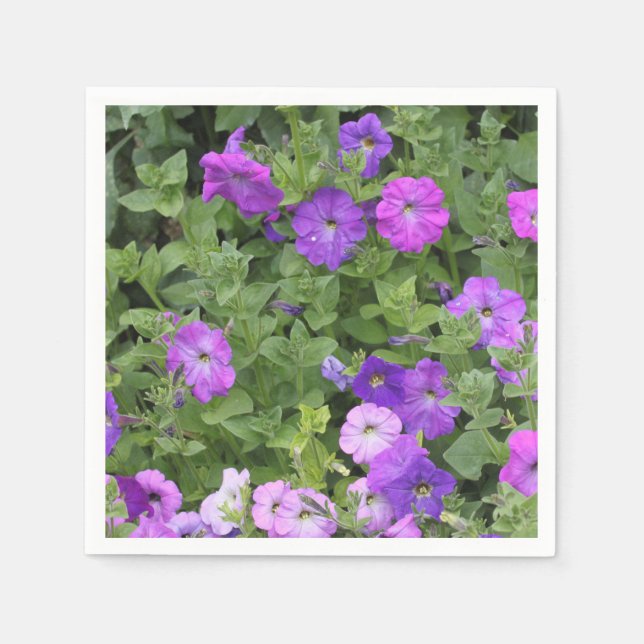 Servilleta De Papel Flores Moradas de Petunia Floral de Primavera Vera (Anverso)