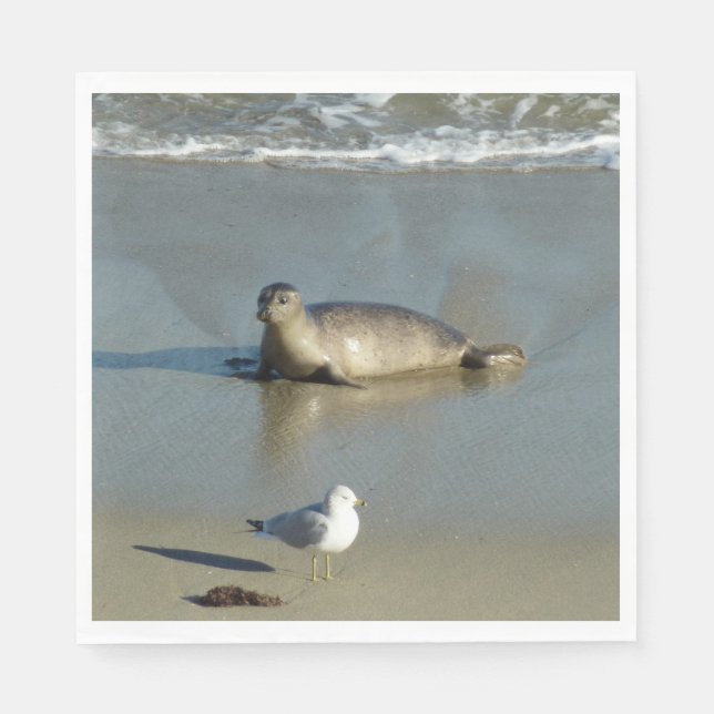 Servilleta De Papel Foca común en La Jolla California (Anverso)