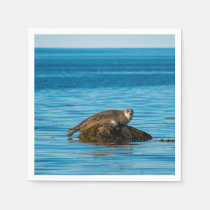Servilleta De Papel Foca de puerto Atlántico