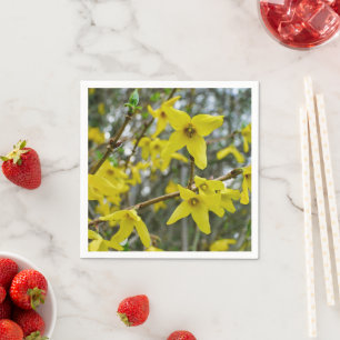 Servilleta De Papel Forsythia en las servilletas de papel Springtime