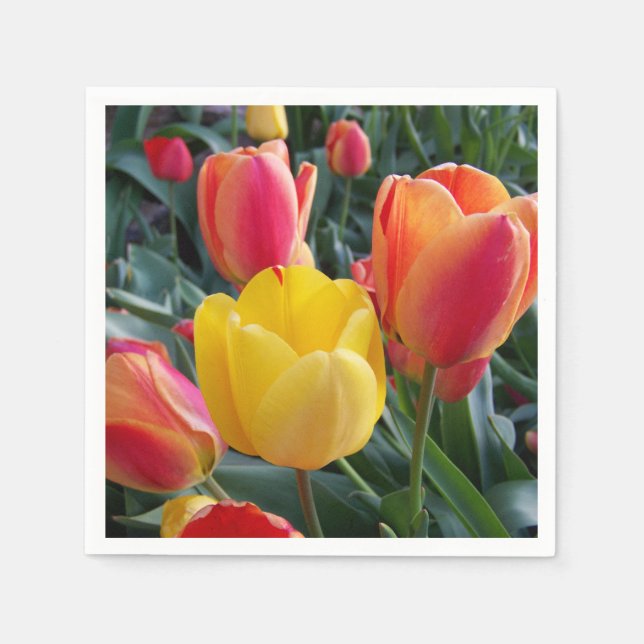 Servilleta De Papel Foto (Anverso)