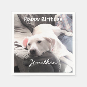 Servilleta De Papel Foto de adorable perro blanco cansado con su mejor