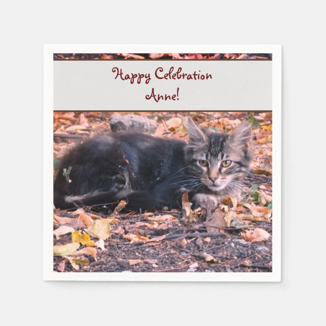 Servilleta De Papel Foto de gato (Anverso)