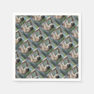 Servilleta De Papel Foto de la pereza