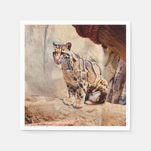 Servilleta De Papel foto de leopardo nebuloso naturaleza vida silvestr (Anverso)