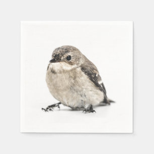 Servilleta De Papel Foto de pequeño pájaro de jardín marrón