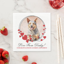 Foto de perro de bodas de perro de ganado australi