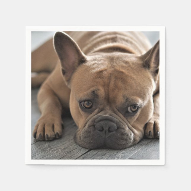 Servilleta De Papel Foto de perro personalizada (Anverso)