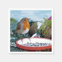 Foto de Robin Feeder europeo