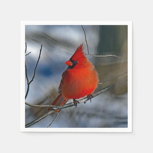 Servilleta De Papel Foto del Cardenal Red Winter (Anverso)