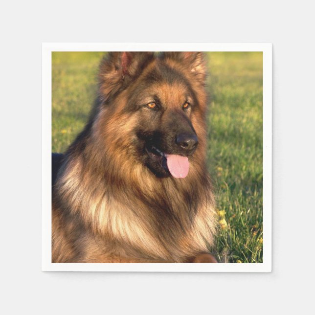 Servilleta De Papel Foto Mascota personalizada del Personalizado Dog L (Anverso)