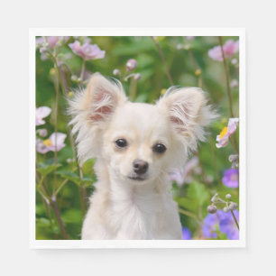 Servilleta De Papel Foto poner crema de pelo largo linda del perrito
