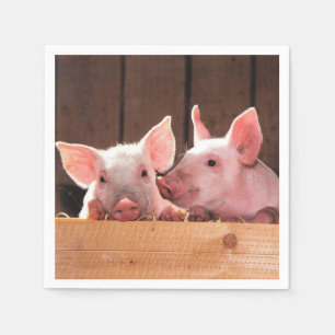 Servilleta De Papel Fotografía animal de lechones rosados
