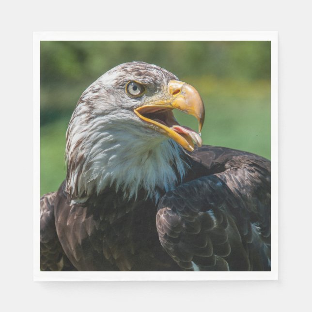 Servilleta De Papel fotografía de águila (Anverso)