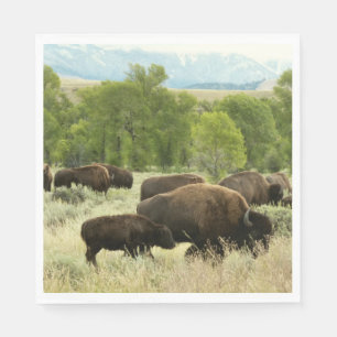 Servilleta De Papel Fotografía de animales de la naturaleza de Wyoming