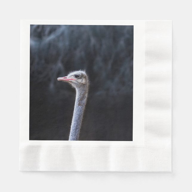 Servilleta De Papel Fotografía de avestruz (Anverso)