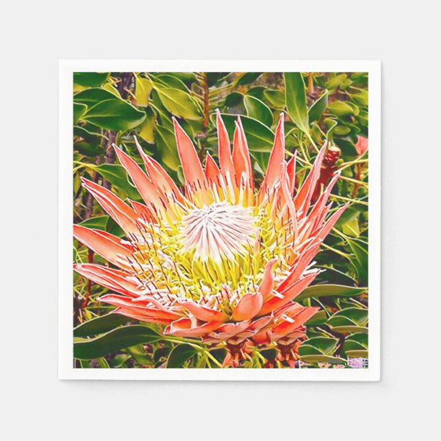 Servilleta De Papel Fotografía de flor australiana Protea (Anverso)