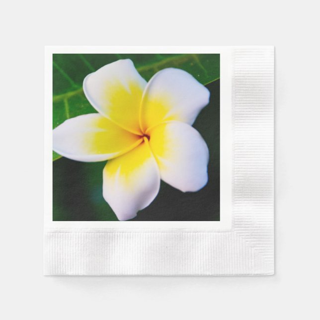 Servilleta De Papel Fotografía de Flor de Plumeria (Anverso)