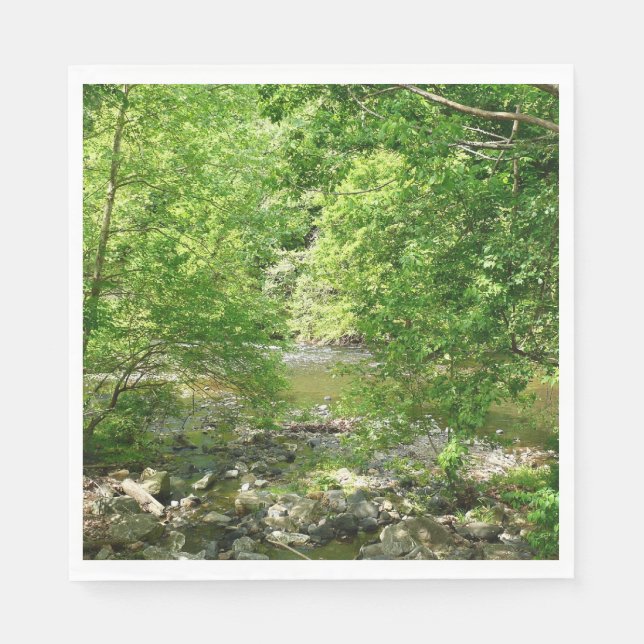 Servilleta De Papel Fotografía de la naturaleza de Maryland con vistas (Anverso)