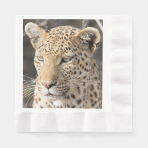 Servilleta De Papel Fotografía de Leopard