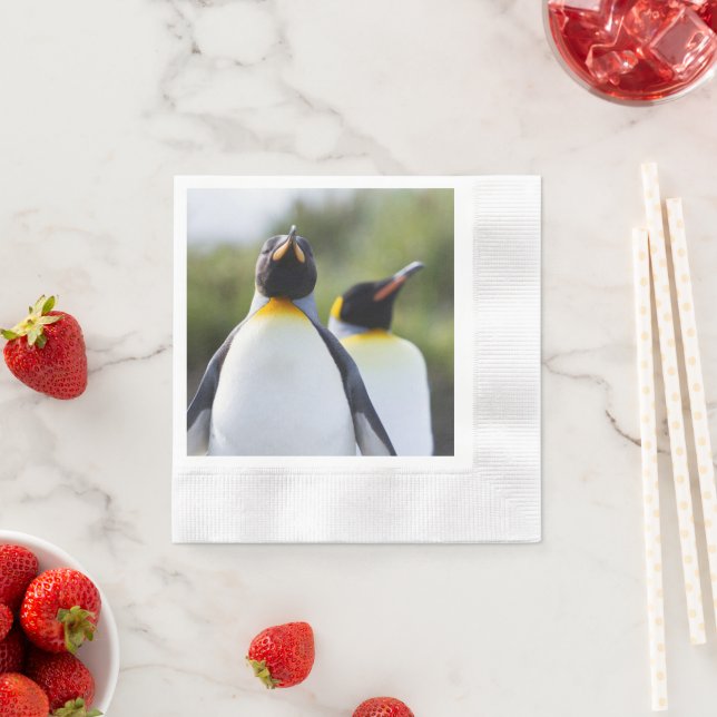 Servilleta De Papel Fotografía de los pingüinos del rey orgulloso (In situ)