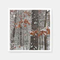 Fotografía de naturaleza invernal de robles cubier