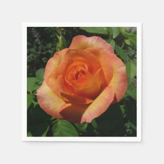 Servilleta De Papel Fotografía de Peach Rosa Naranja Floral