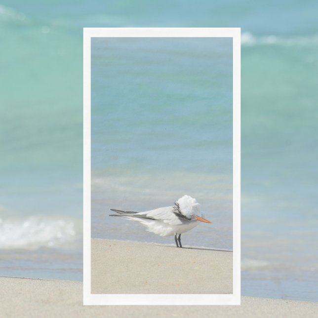 Servilleta De Papel Fotografía de Royal Tern en Beach Seabird (Subido por el creador)