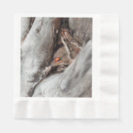 Servilleta De Papel fotografía de una mariquita