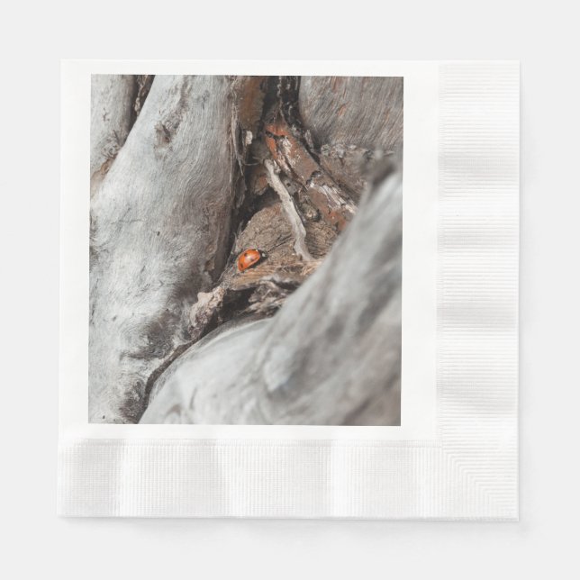 Servilleta De Papel fotografía de una mariquita (Anverso)