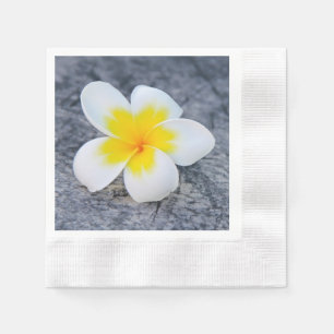 Servilleta De Papel Fotografía floral de frangipani tropical