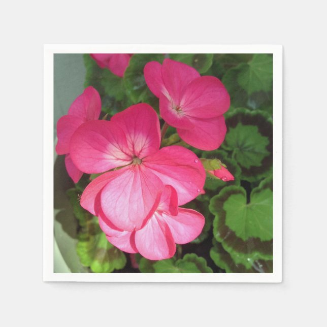 Servilleta De Papel Fotografía floral rosa (Anverso)