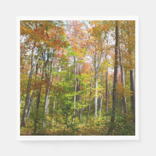 Servilleta De Papel Fotografía paisajística de otoño en el bosque otoñ