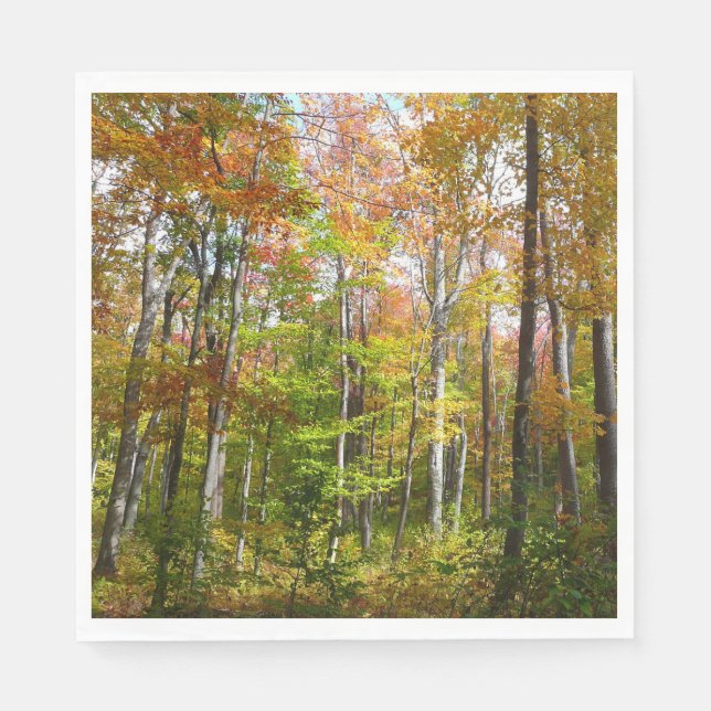 Servilleta De Papel Fotografía paisajística de otoño en el bosque otoñ (Anverso)