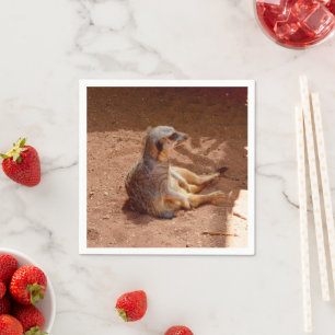 Servilleta De Papel Fotografía sentada en Meerkat, servilletas de pape