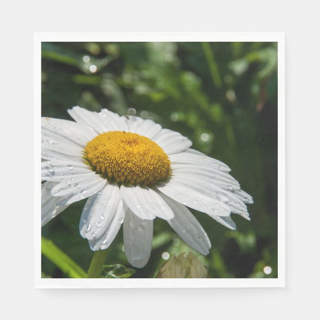 Servilleta De Papel fotografía, un margueritte, hacen verde (Anverso)