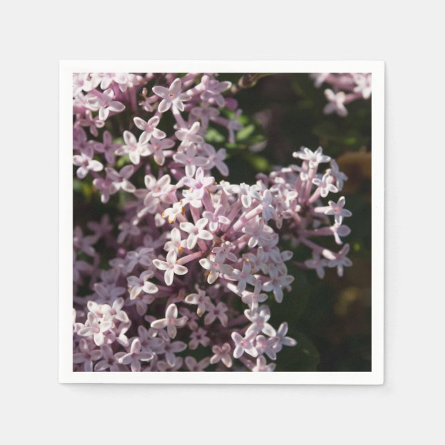 Servilleta De Papel Fragrant Lilac (Anverso)