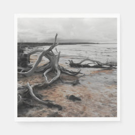 Servilleta De Papel Fuerzas Naturales del Lago Tyrrell