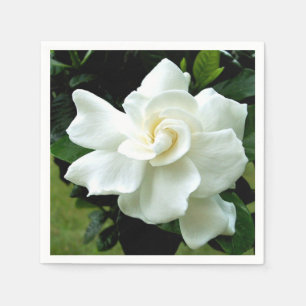 Servilleta De Papel Gardenia