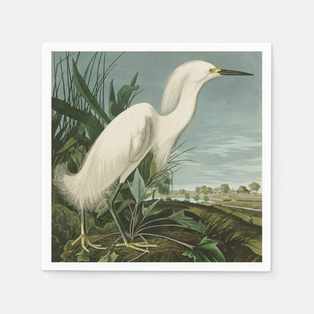 Servilleta De Papel Garza Blanca de Audubon Ave Birding (Anverso)