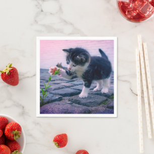 Servilleta De Papel Gatito