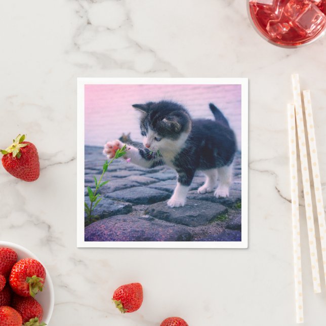 Servilleta De Papel Gatito (In situ)