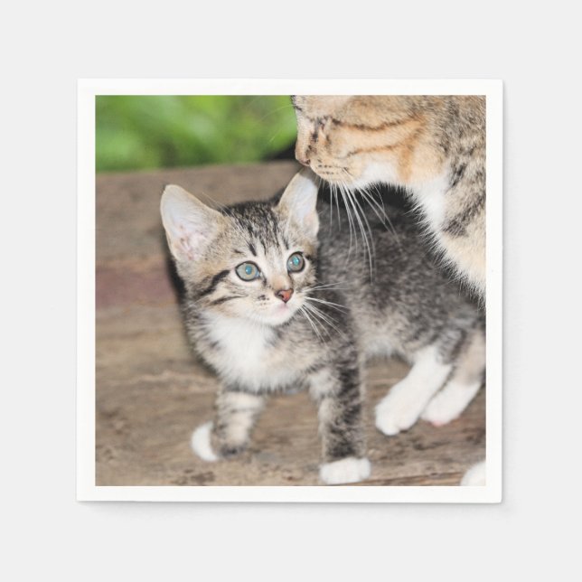 Servilleta De Papel Gatito (Anverso)