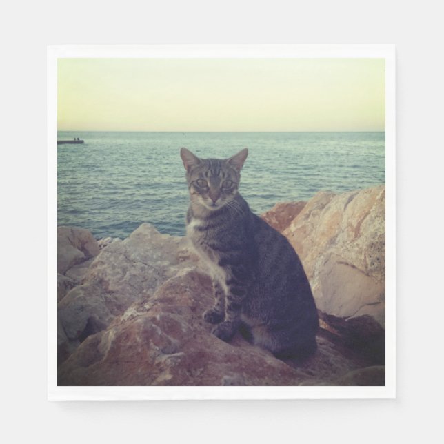 Servilleta De Papel Gatito (Anverso)