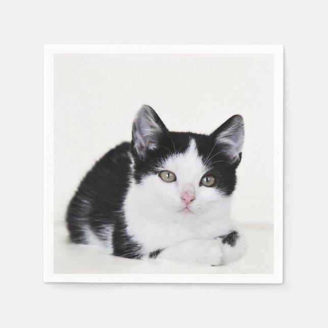 Servilleta De Papel Gatito blanco y negro (Anverso)