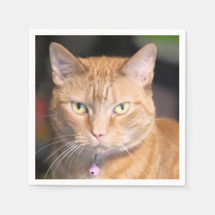 Servilleta De Papel Gato