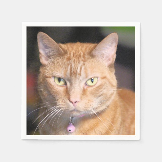 Servilleta De Papel Gato (Anverso)