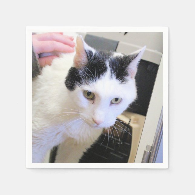 Servilleta De Papel Gato (Anverso)